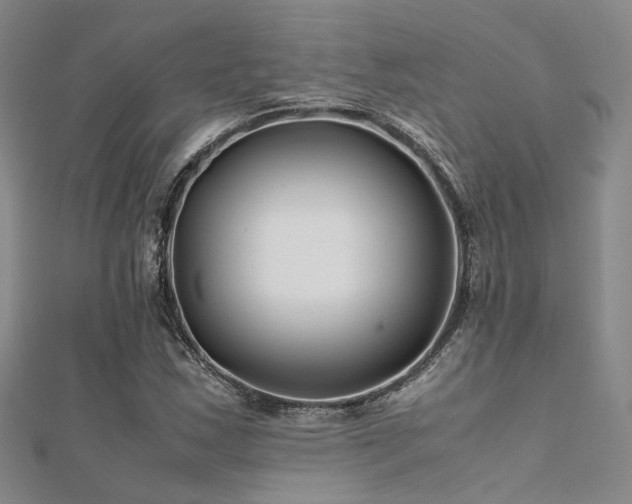 X0000112371163200908131511