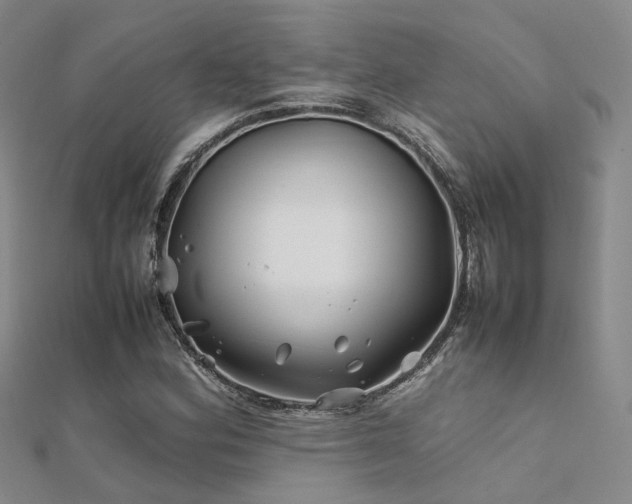 X0000112371164200908131511