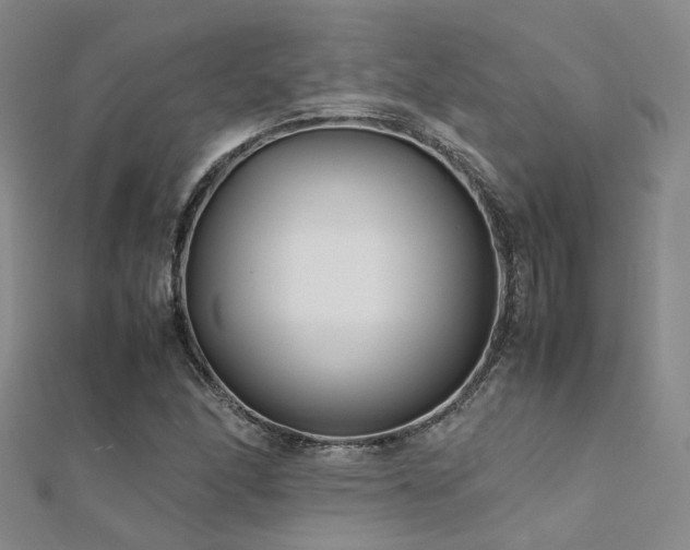 X0000112371166200908131511