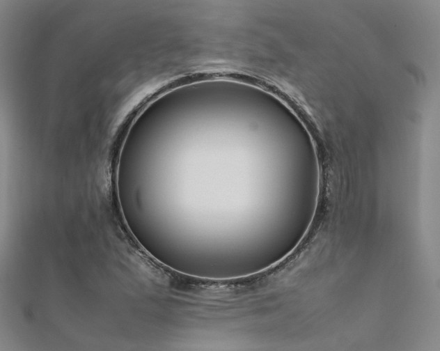 X0000112371167200908131511