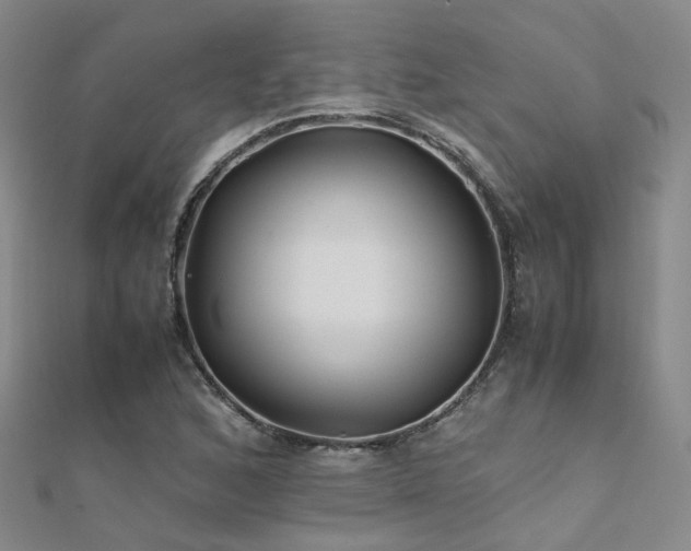 X0000112371168200908131511
