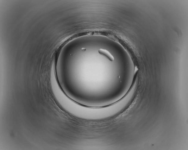 X0000112371169200908131511
