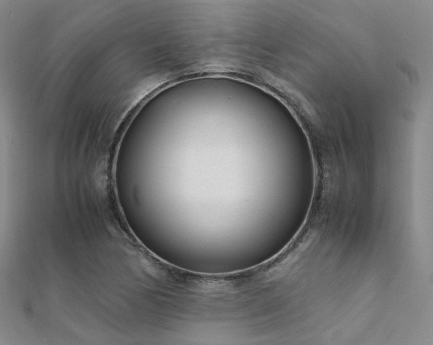 X0000112371170200908131511