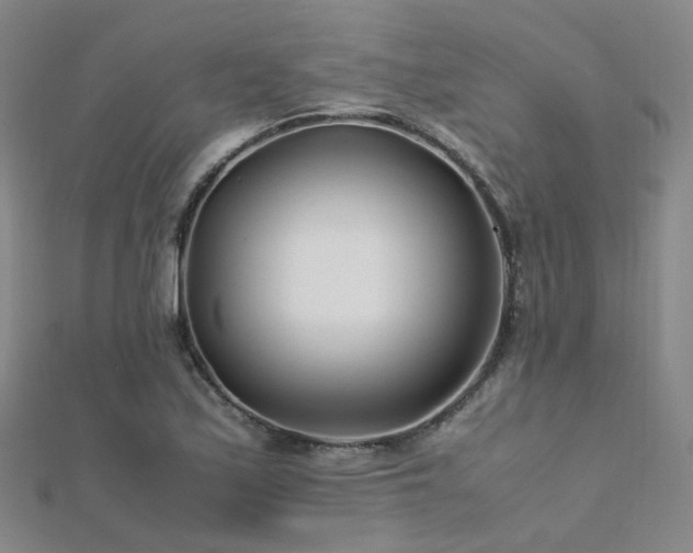 X0000112371171200908131511