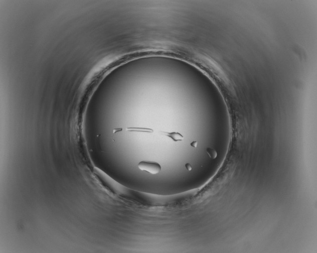 X0000112371172200908131511