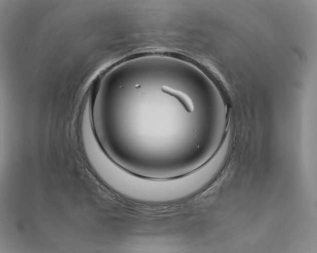 X0000112371173200908131511