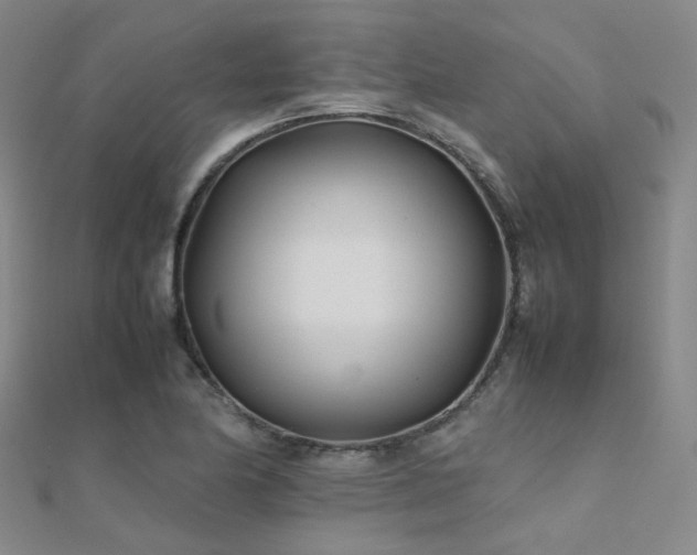 X0000112371174200908131511