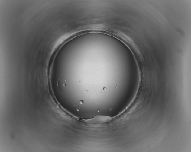 X0000112371176200908131511