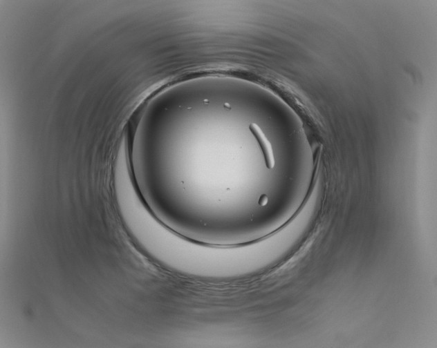 X0000112371177200908131511