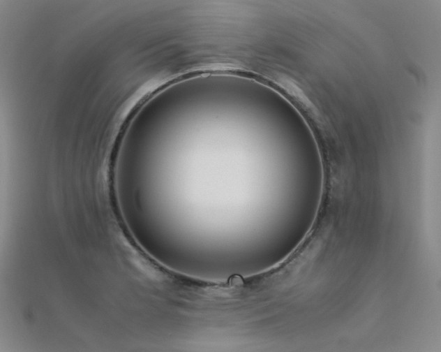 X0000112371181200908131511