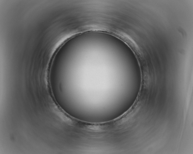 X0000112371182200908131511