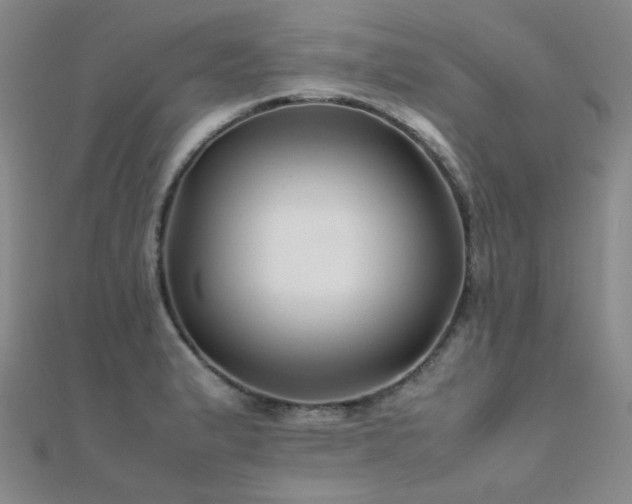X0000112371183200908131511
