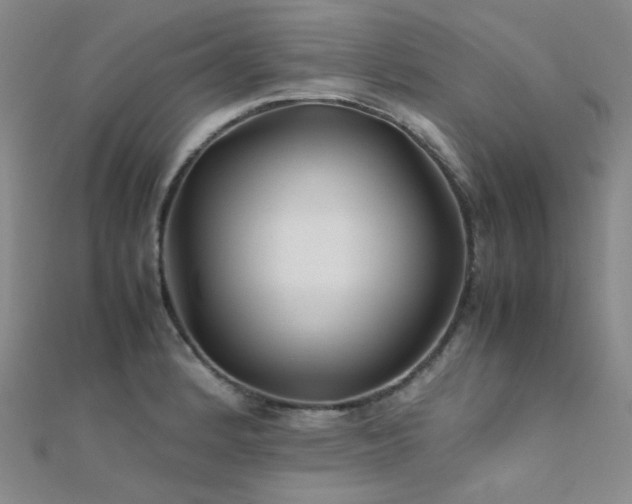 X0000112371184200908131511