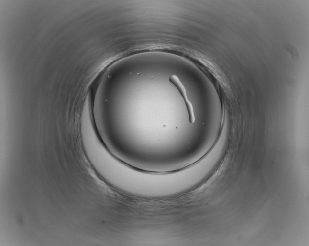 X0000112371185200908131511