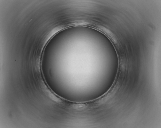 X0000112371186200908131511