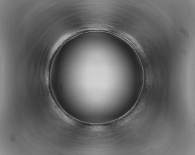 X0000112371188200908131511