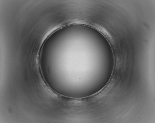 X0000112371190200908131510