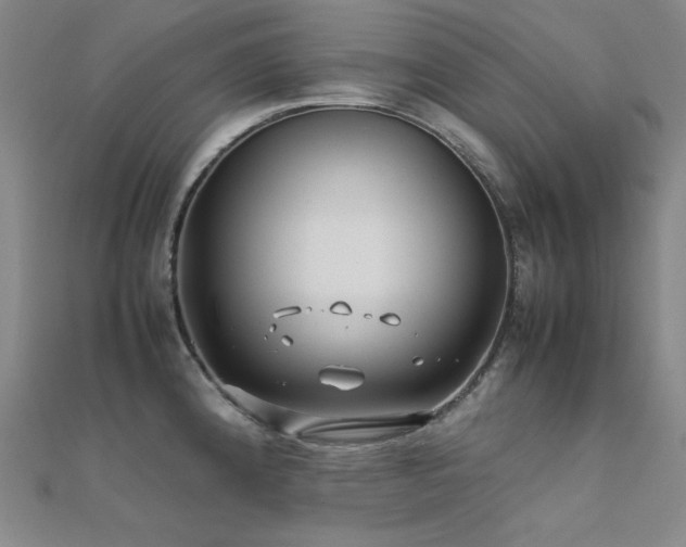 X0000112371192200908131510