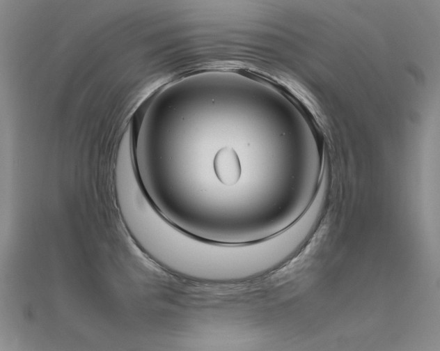 X0000112371193200908131510