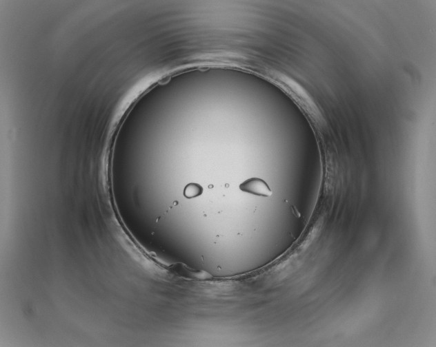 X0000112371196200908131510