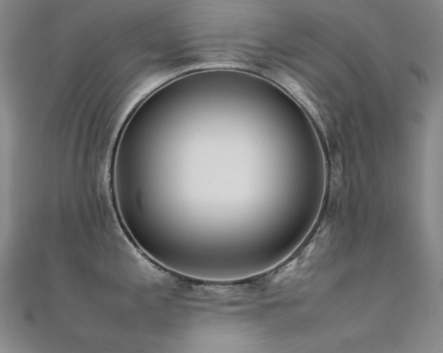X0000112371197200908131510