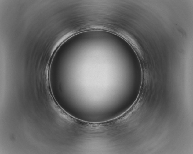 X0000112371198200908131510
