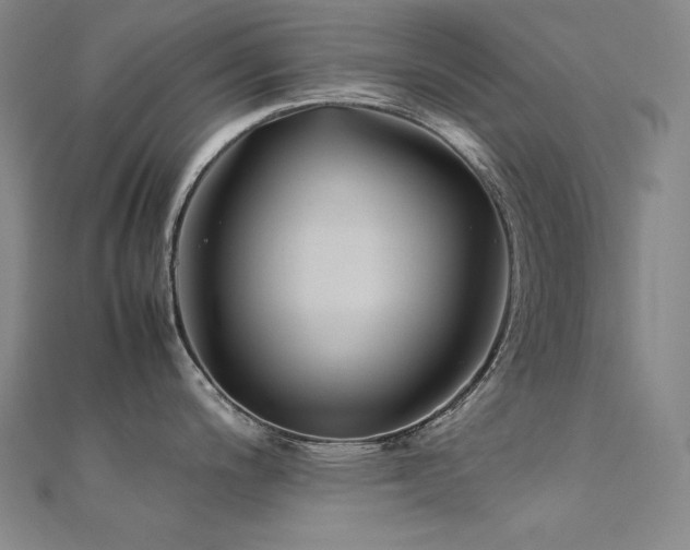 X0000112371200200908131510