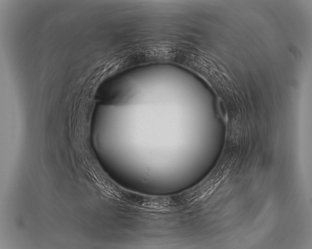 X0000112371201200908131510