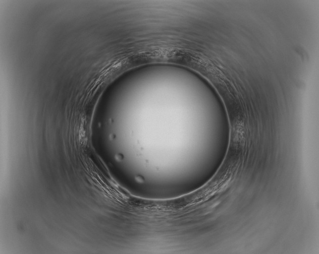 X0000112371202200908131510