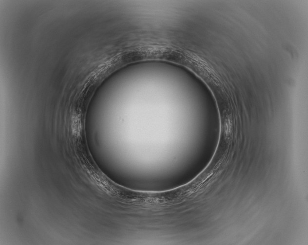 X0000112371204200908131510