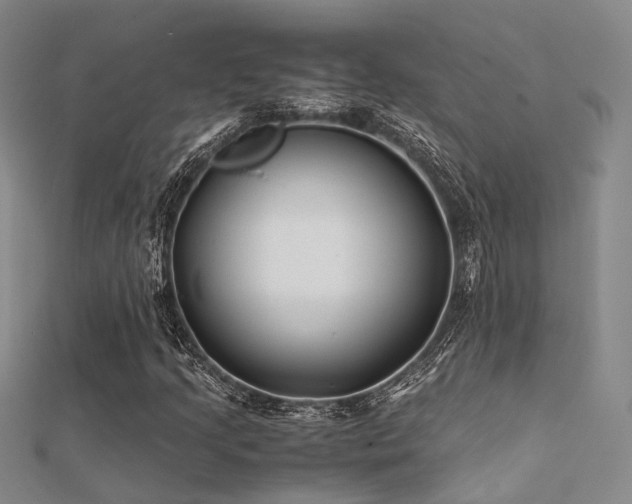 X0000112371205200908131510