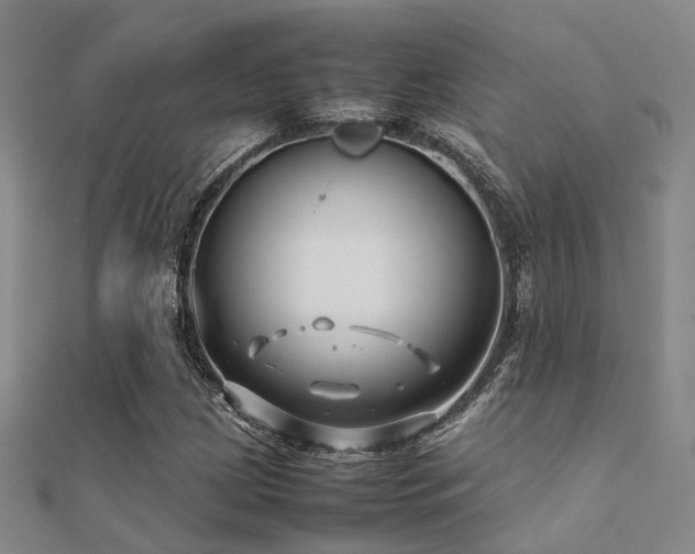 X0000112371209200908131510