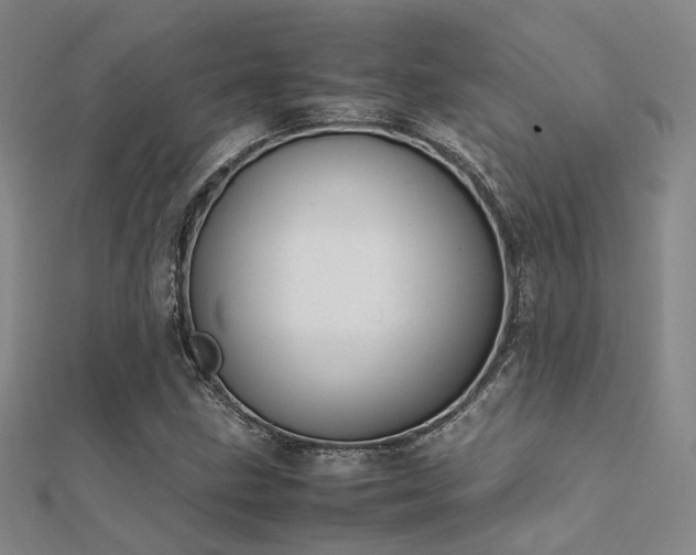 X0000112371211200908131510