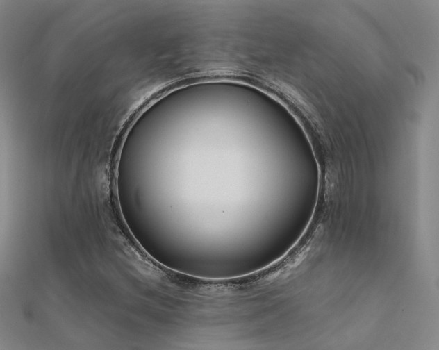 X0000112371212200908131510