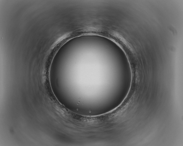X0000112371213200908131510