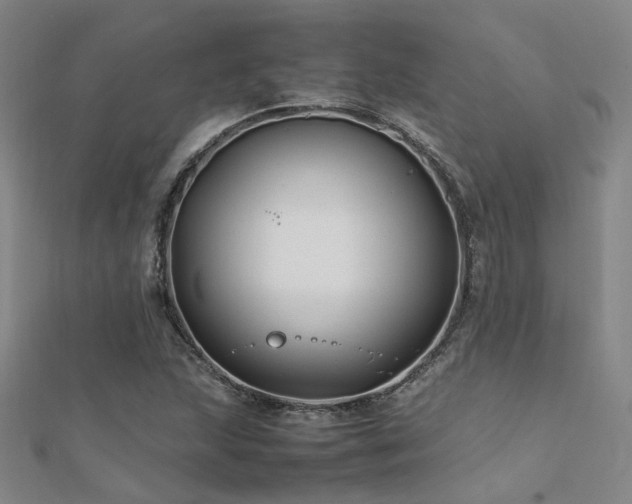 X0000112371215200908131510