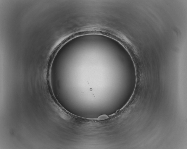 X0000112371216200908131510