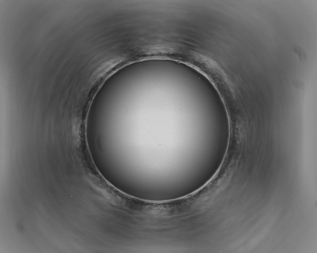 X0000112371217200908131510