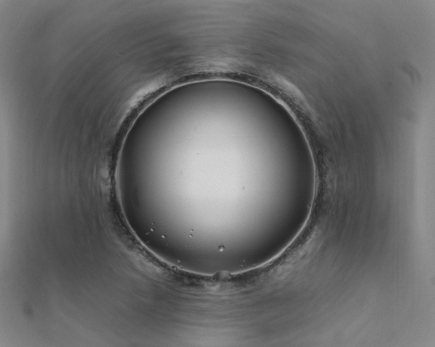 X0000112371218200908131510