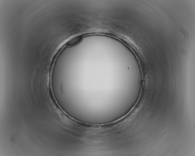 X0000112371220200908131510