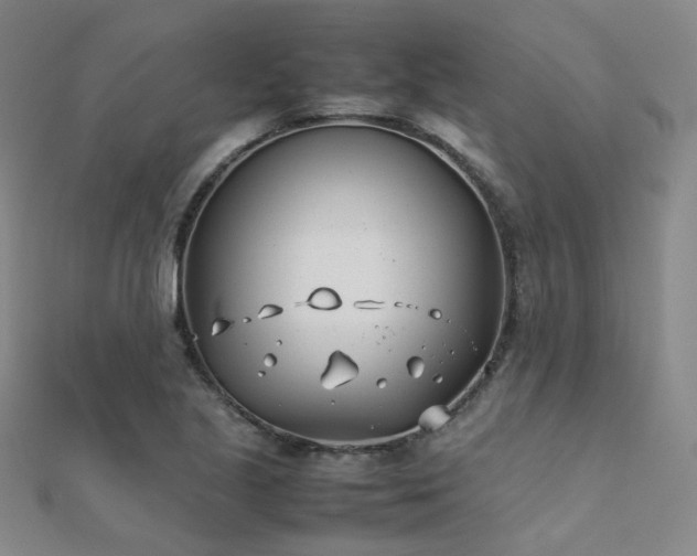 X0000112371221200908131510