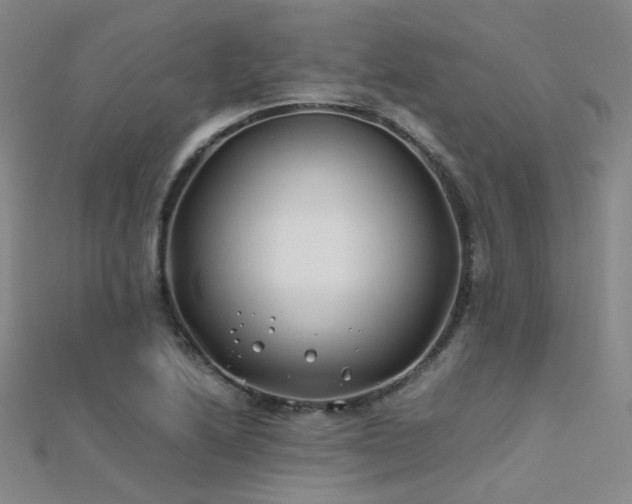 X0000112371222200908131510