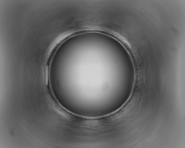 X0000112371223200908131510