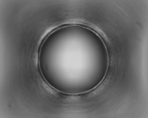 X0000112371224200908131510