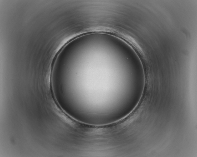 X0000112371228200908131510