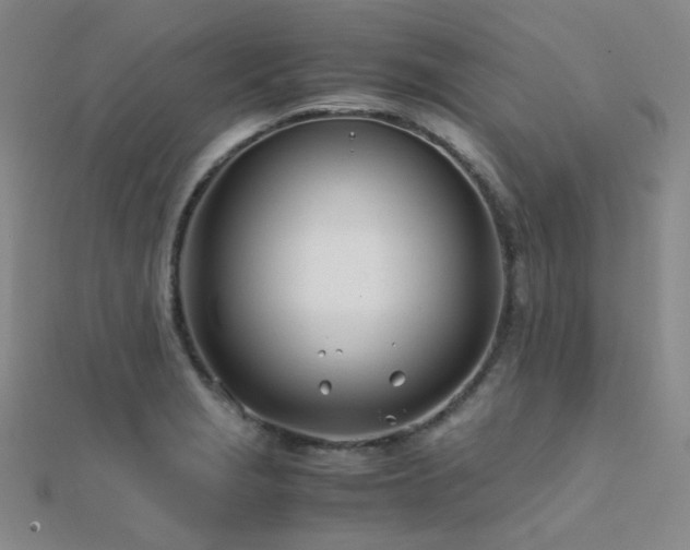 X0000112371229200908131510