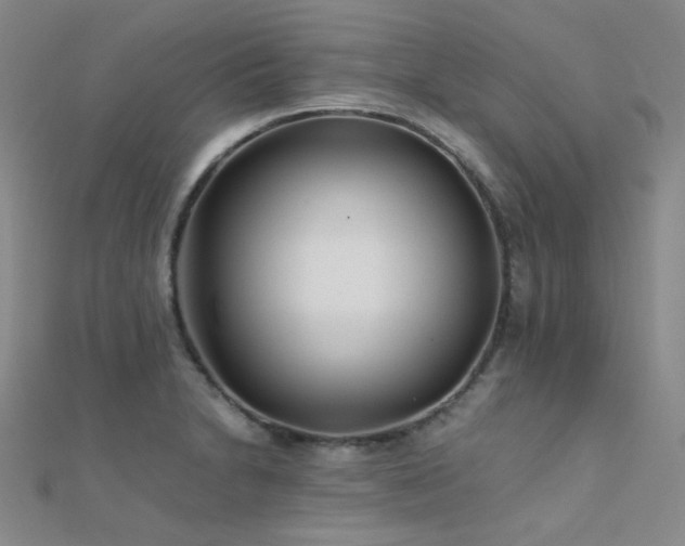 X0000112371230200908131510
