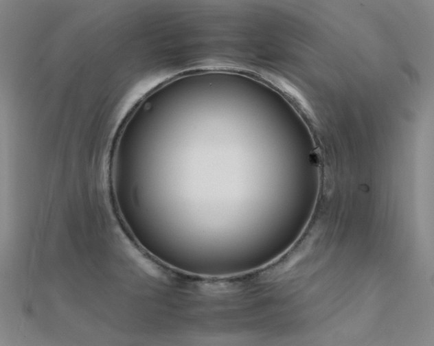 X0000112371231200908131510