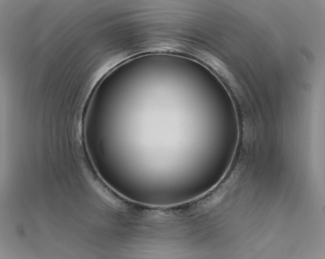 X0000112371234200908131510