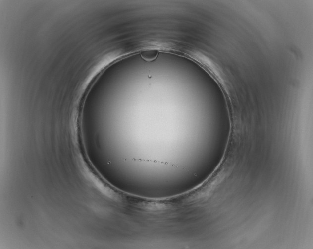X0000112371235200908131510